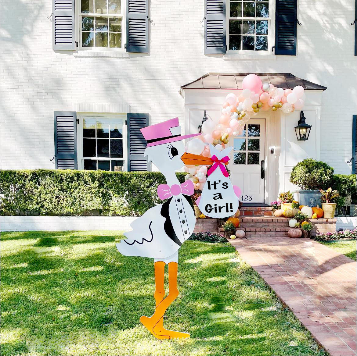 Pink Stork Sign, Birth Announcement Yard Sign in Kingsport, Johnson City, Bristol & More