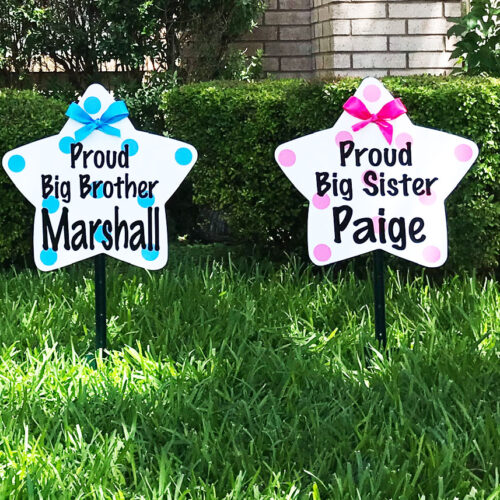 Sibling Stars in Pink and Blue Decorations, Birth Announcement Yard Stork Sign in Kingsport, Johnson City, Bristol & More